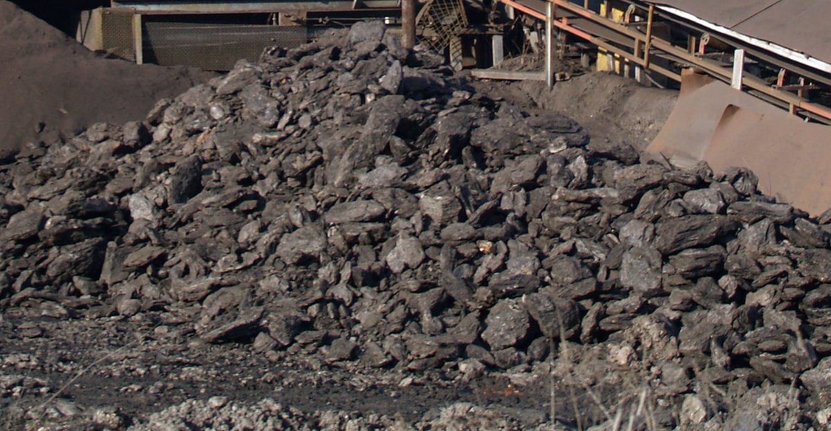Xyloid Lignite