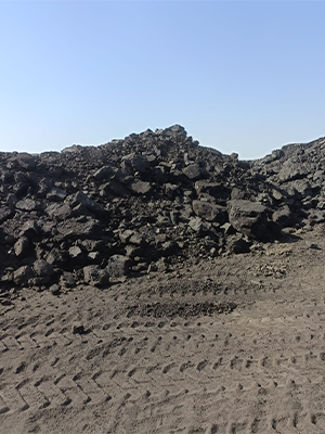 Compact Lignite